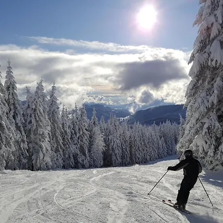 Wanderlust Διαμέρισμα