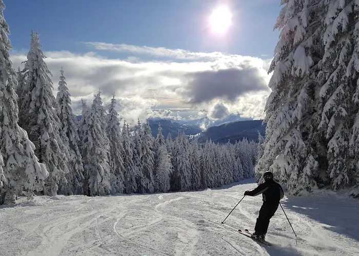 Wanderlust Lägenhet *