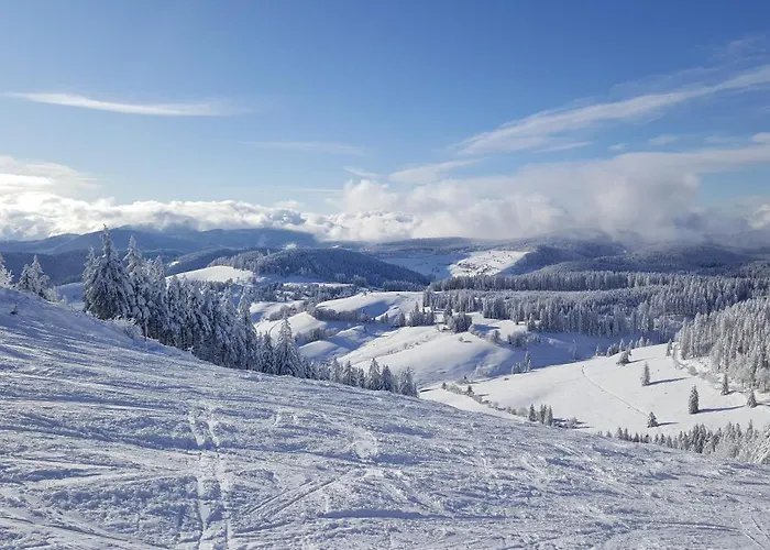 Wanderlust * Todtnau